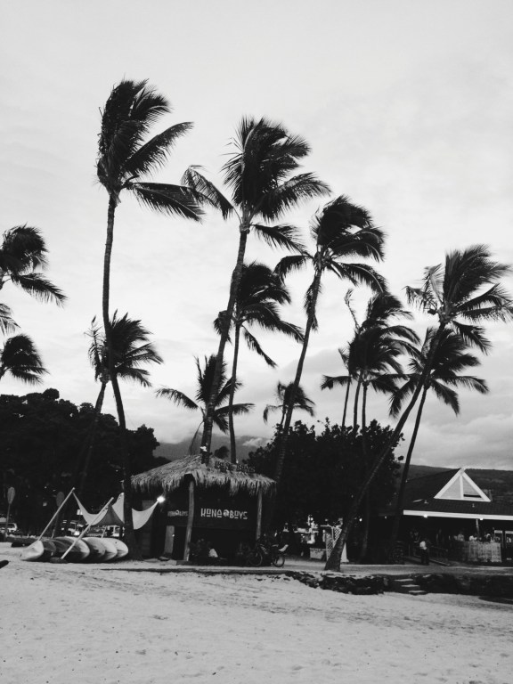 Processed with VSCOcam with b5 preset